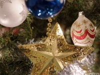 55916CrReLe - Christmas ornaments in the Christmas Tree.jpg